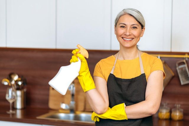 Maid Masters Revolutionizing House Cleaning Experiences