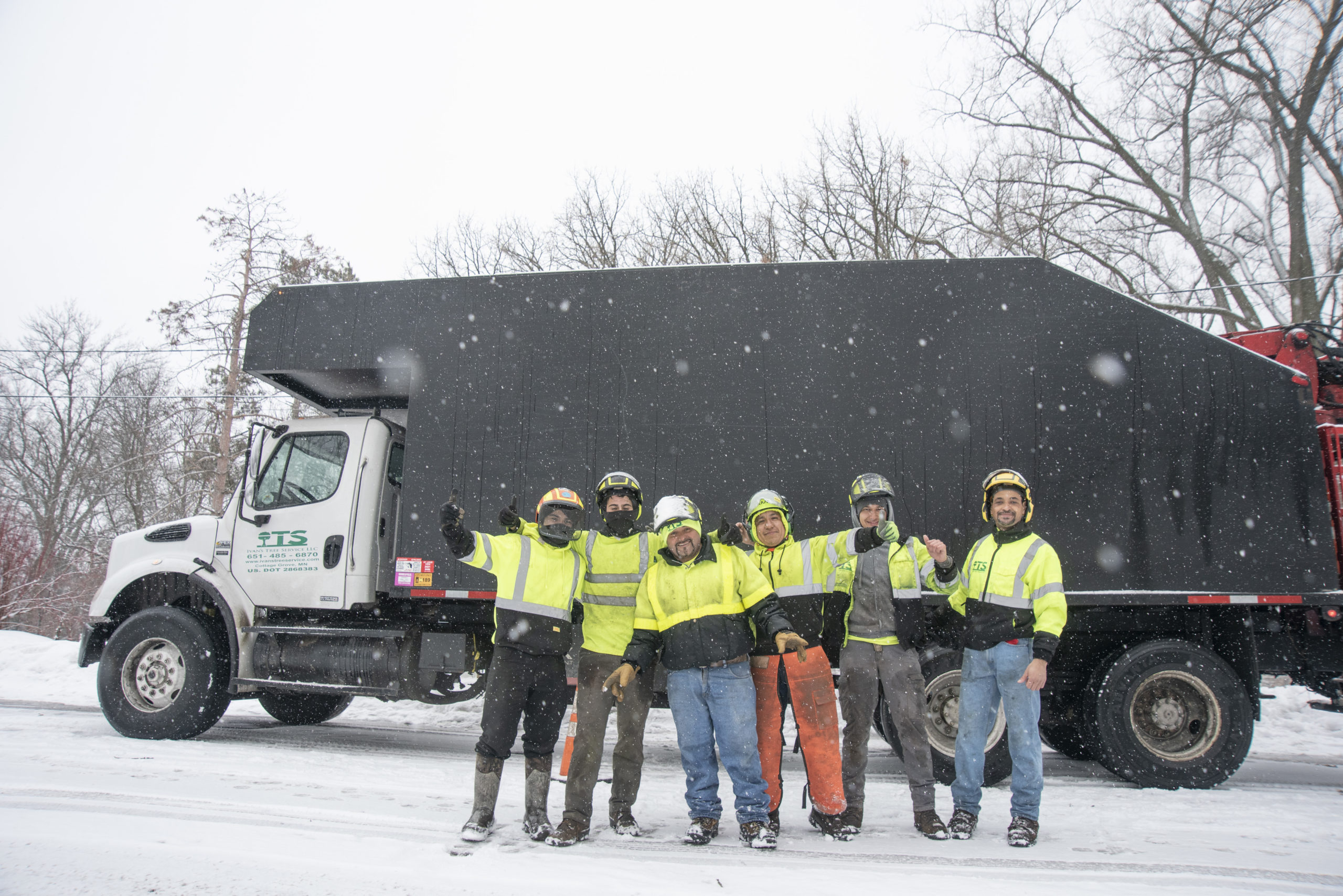 Why Regular Tree Service Extends the Life of Your Landscape